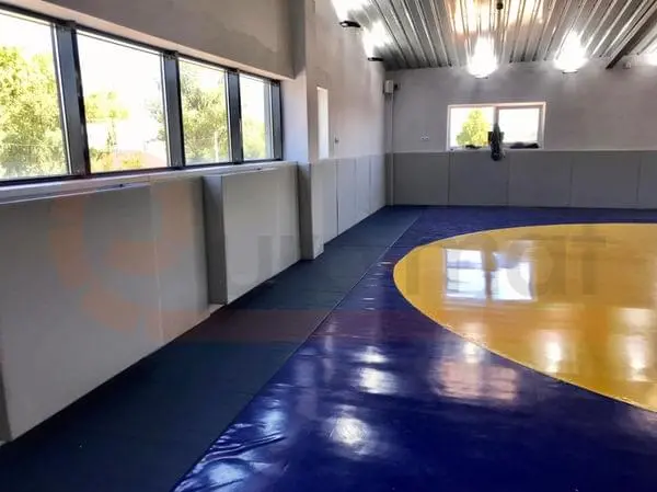 Автономная некоммерческая организация  «Школа высшего спортивного мастерства  «Самбо-Калининград»