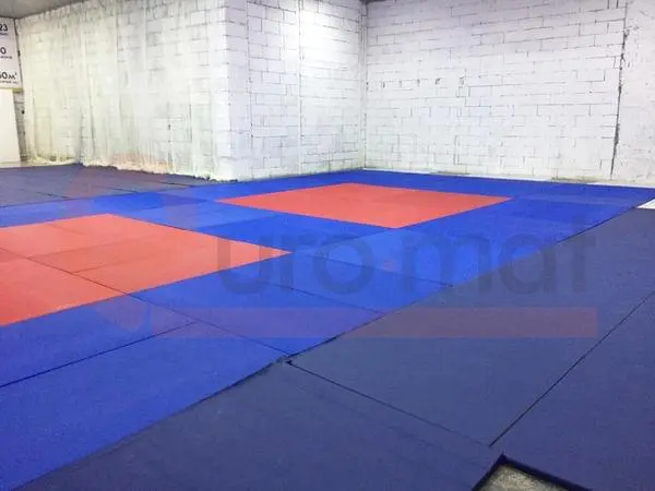 Частная секция по единоборствам