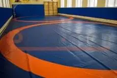 Спортшкола №86